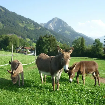 Alfred Albrecht Oberstdorf