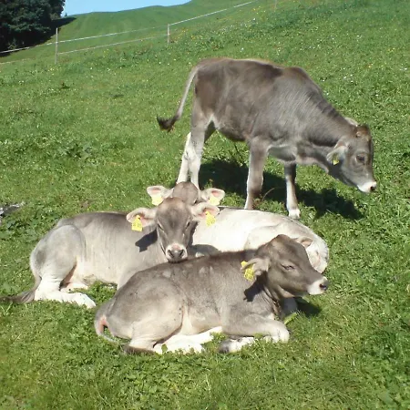 Alfred Albrecht Séjour à la campagne Oberstdorf